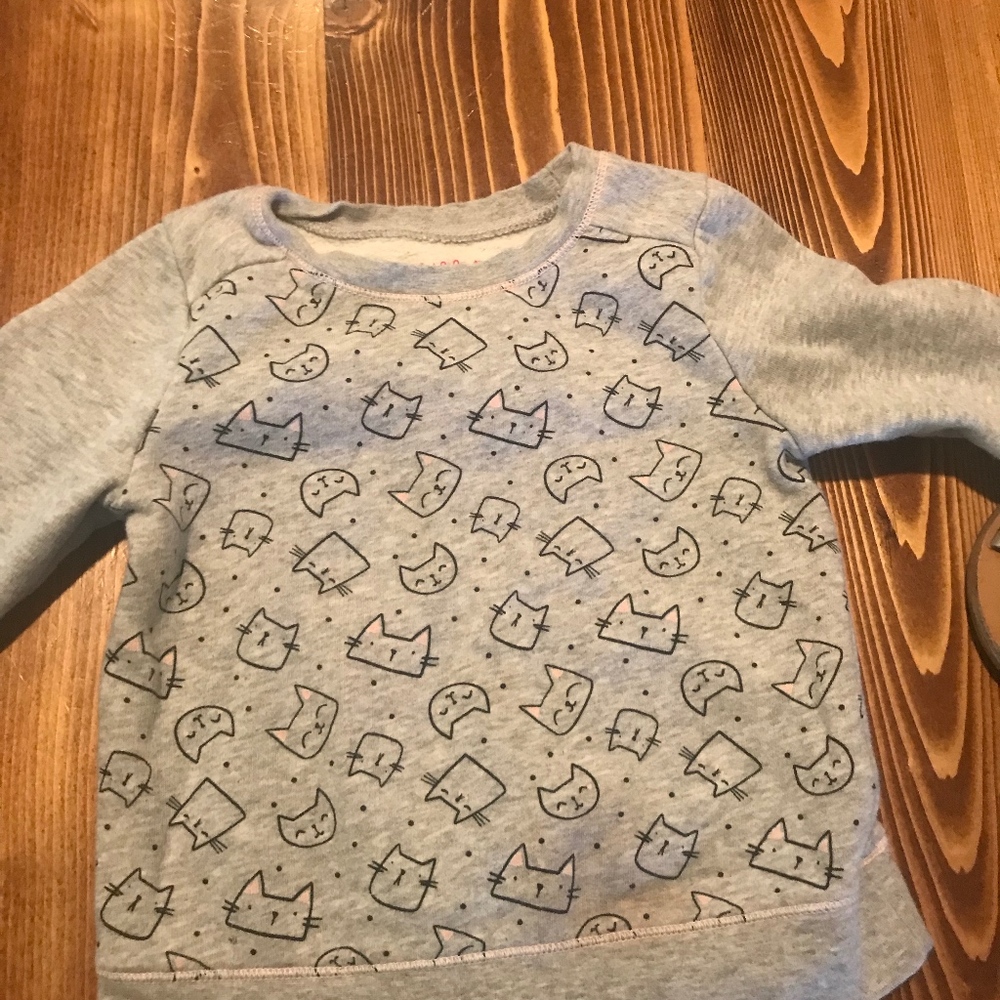 Cat and Jack CAT sweater